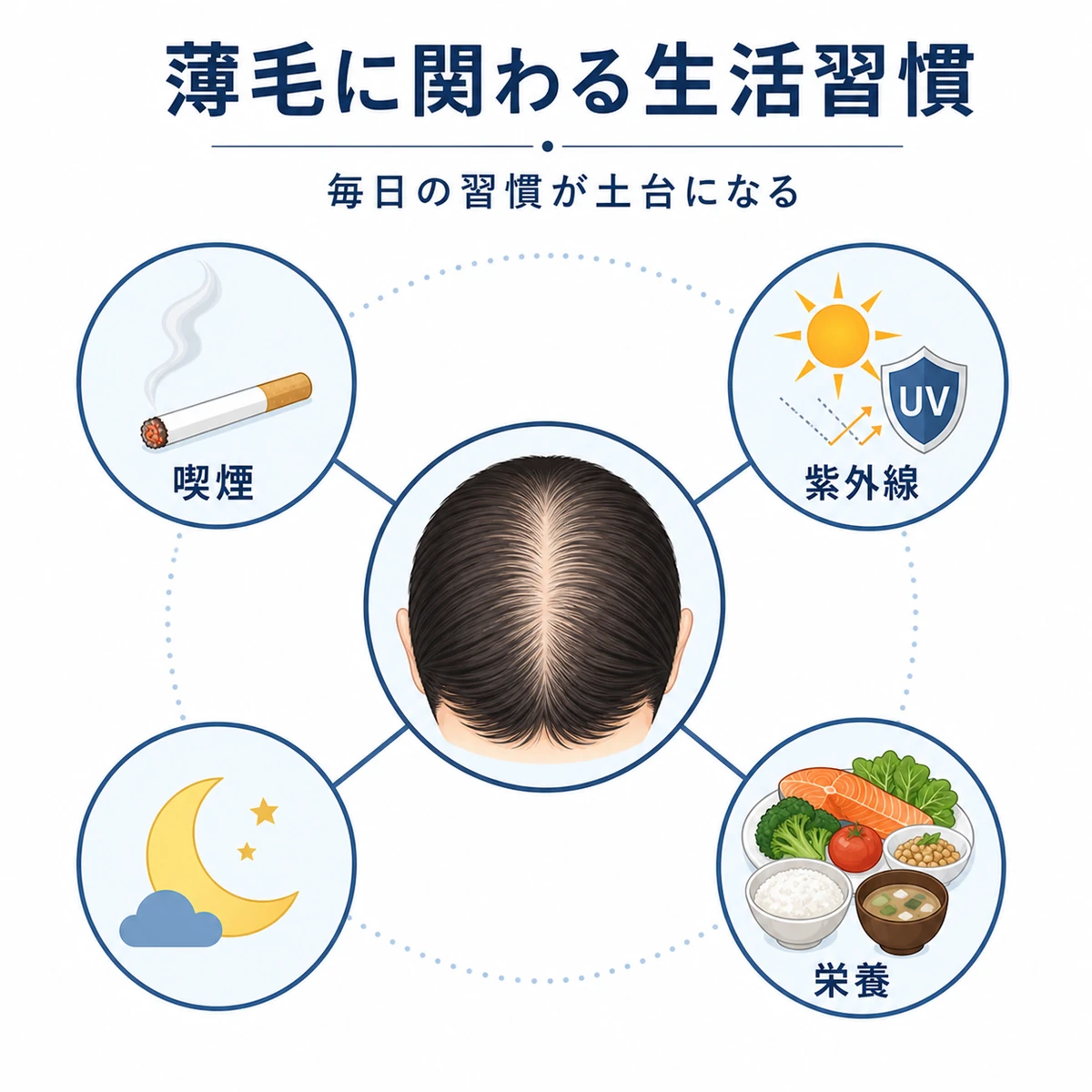 喫煙や紫外線など薄毛に関わる生活習慣を頭皮を中心に配した相関図の医療イラスト