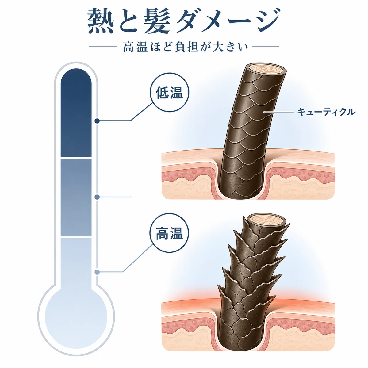 ドライヤーの温度が高いほど髪のキューティクルが傷みやすいことを温度メーターと毛髪断面で表した図解イラスト