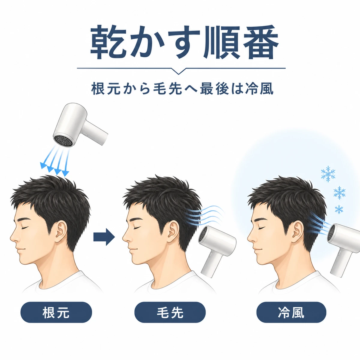 根元から乾かし毛先を軽く仕上げ最後に冷風を当てる乾かす順番を三段階で表した図解イラスト