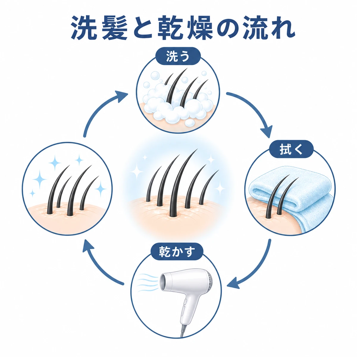 洗う・拭く・乾かすを一巡りで習慣にする洗髪とドライヤーの流れを円環で表した図解イラスト