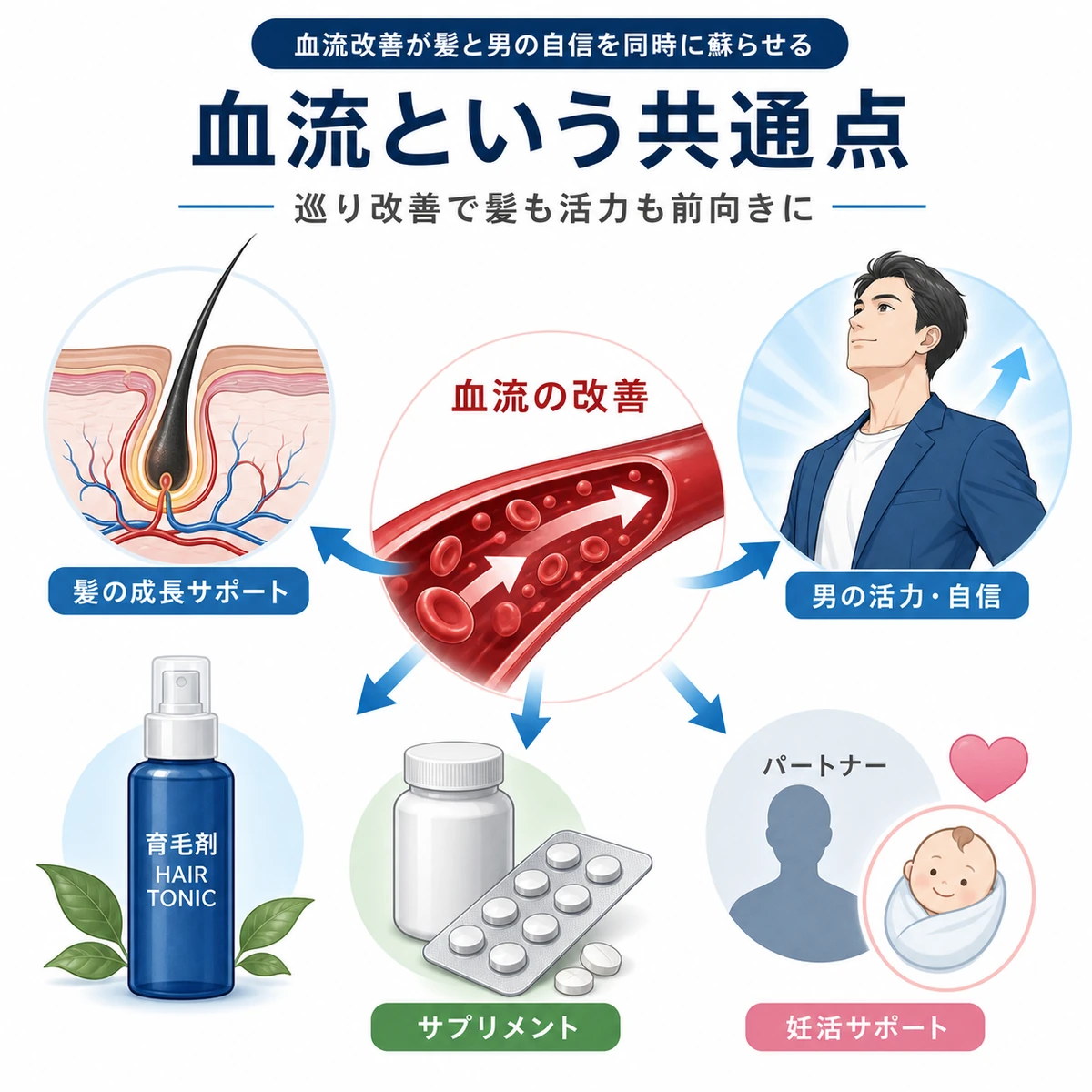 血流の改善が髪と活力の両方につながる仕組みを表した医療イラスト
