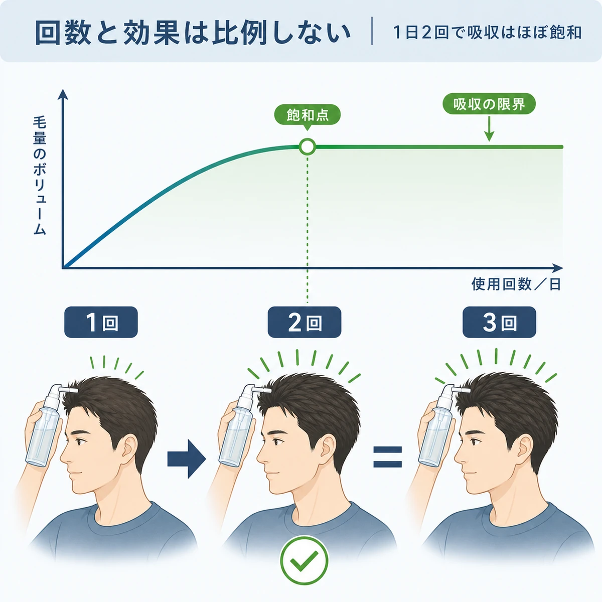 育毛剤の塗布回数を2回から3回に増やしても発毛量が頭打ちになる様子を表した医療イラスト