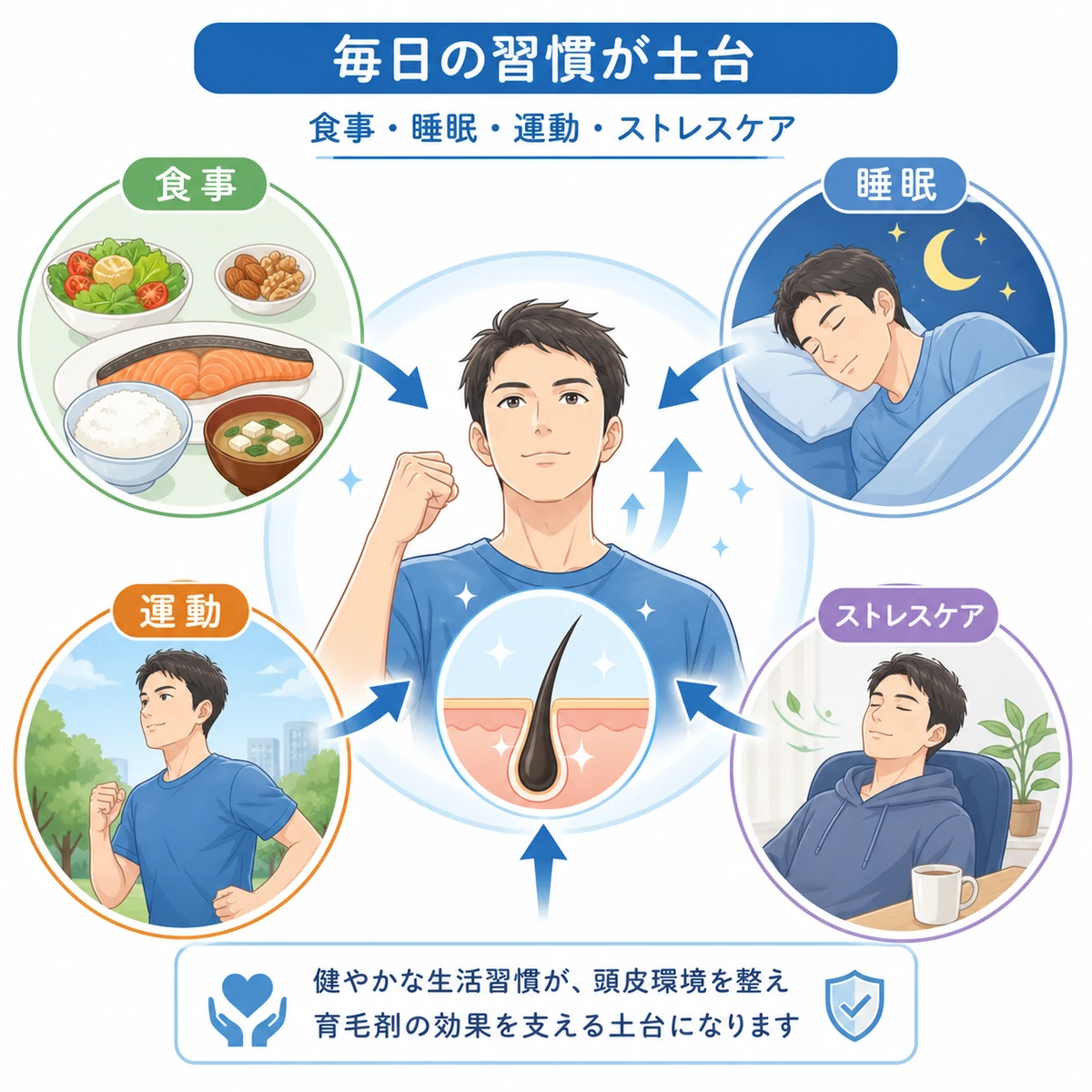 食事・睡眠・運動・ストレスケアの生活習慣が髪を支える様子を4分類で表した医療イラスト