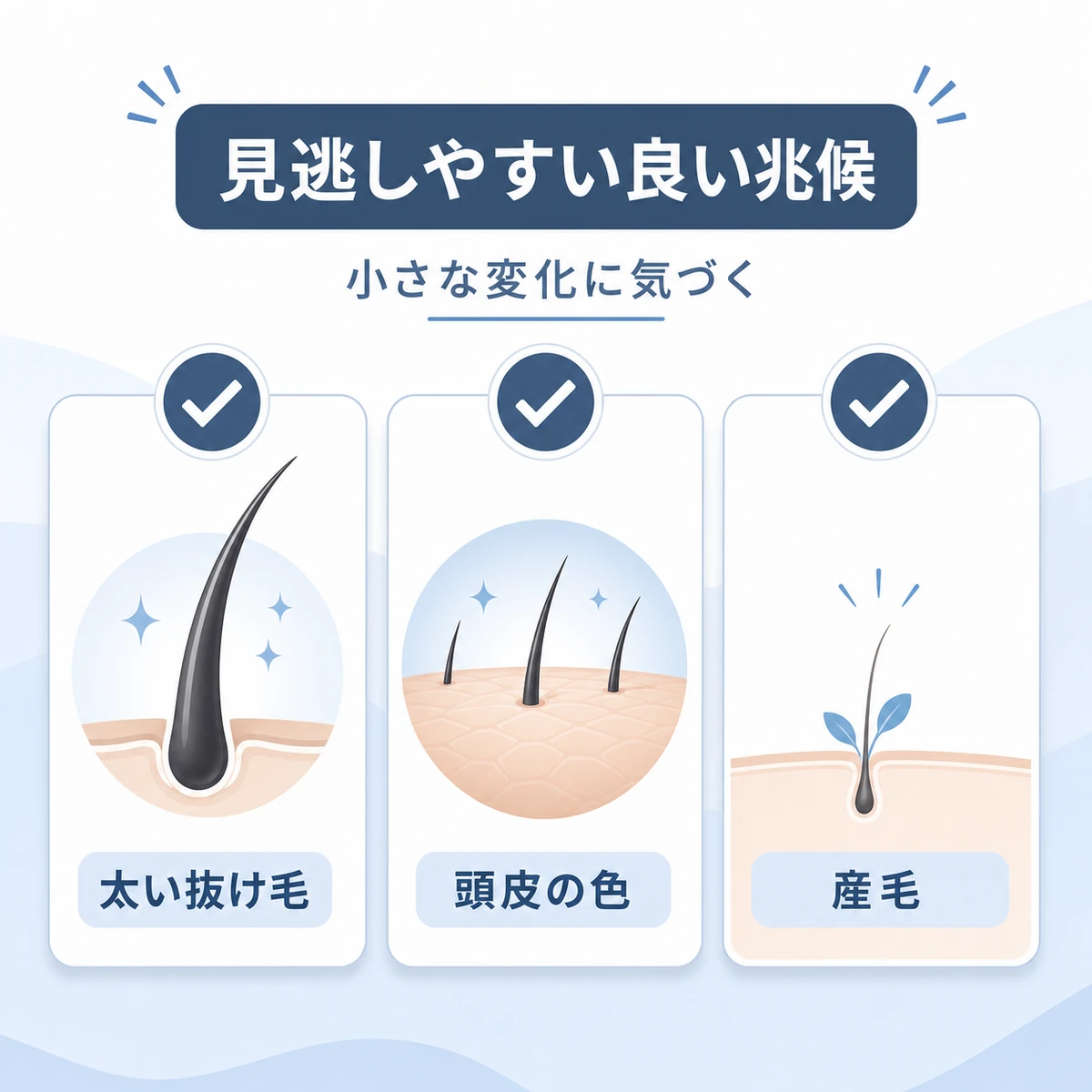 抜け毛の太さや産毛など頭皮に現れる良い兆候の見分け方を表した医療イラスト