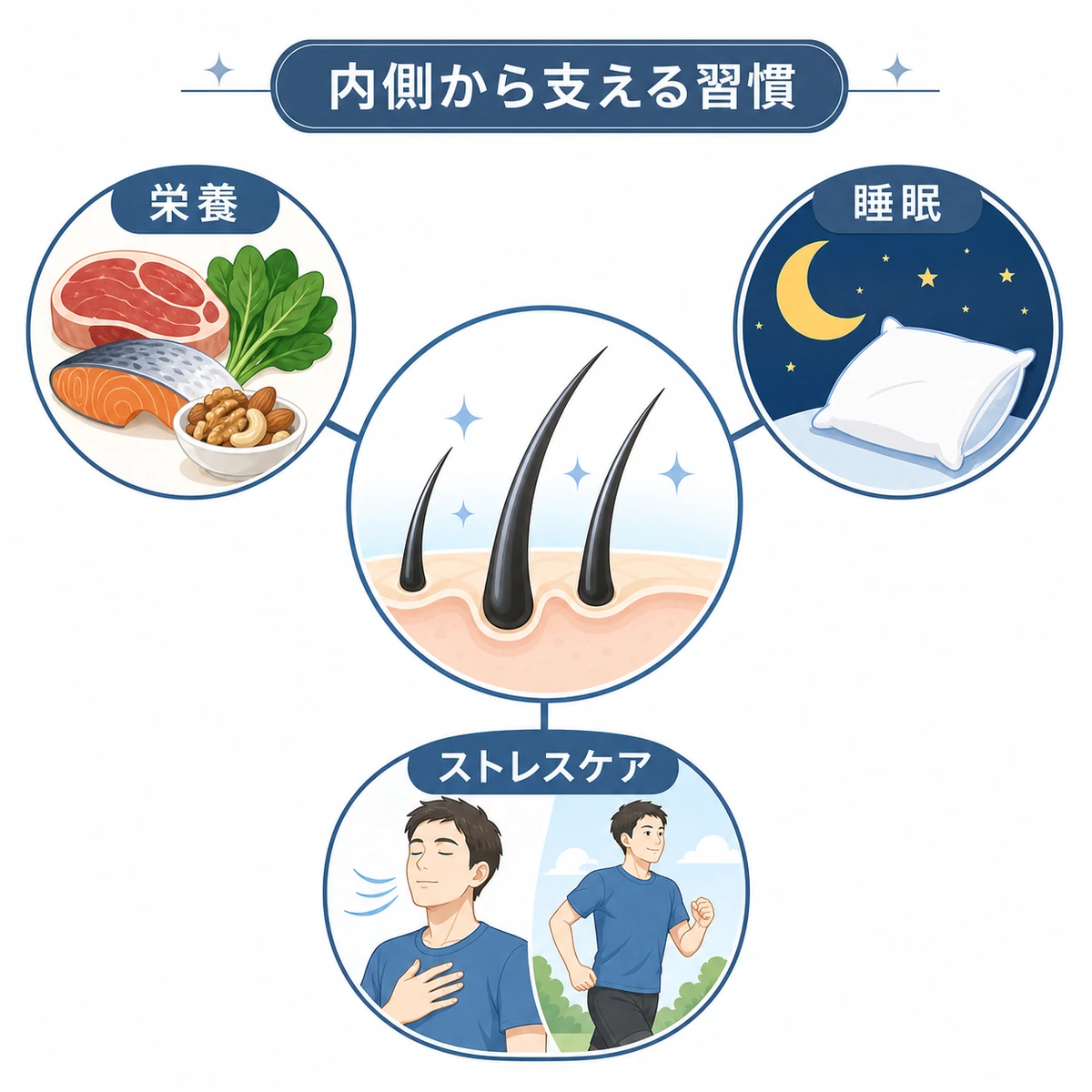 栄養と睡眠とストレスケアが髪を支える生活習慣の関係を表した医療イラスト