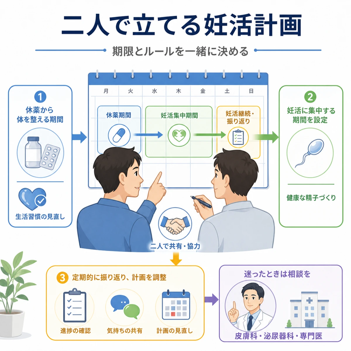 休薬から妊活集中までの計画をカレンダーで二人が共有する流れを表した医療イラスト