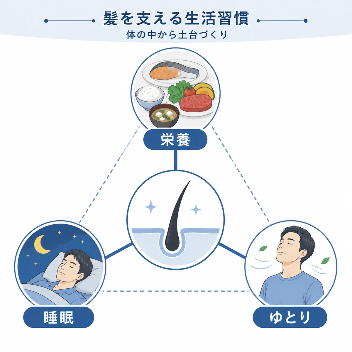 栄養と睡眠とゆとりが髪の健康を支える三角バランスを表したイラスト
