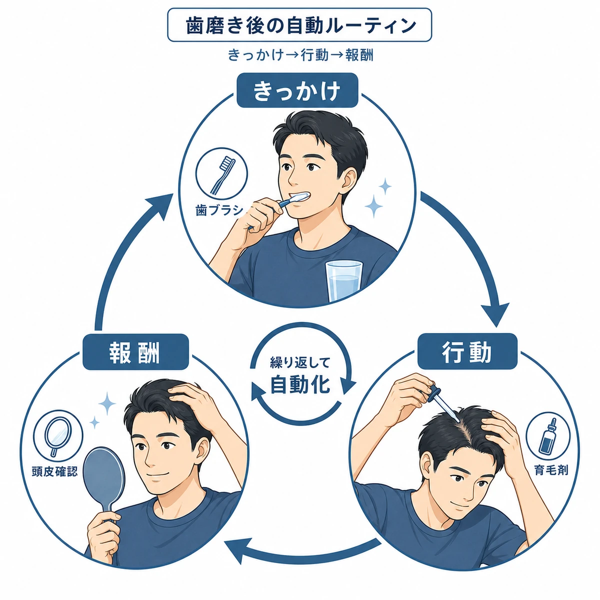 きっかけと行動と報酬が循環する育毛剤の習慣ループを表した医療イラスト