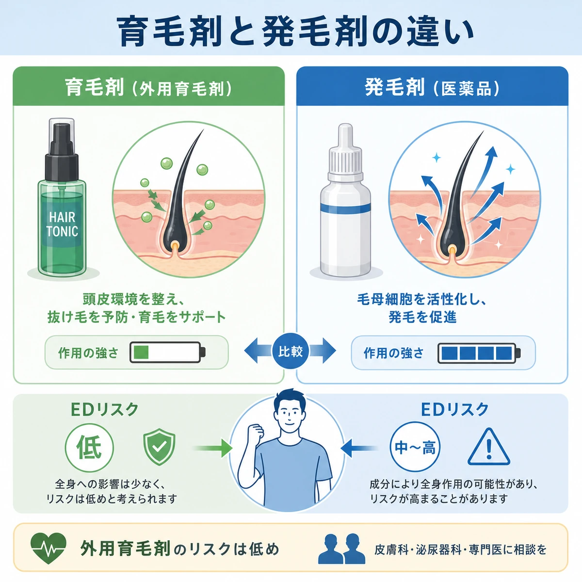 育毛剤と発毛剤の成分と作用の強さの違いをカードで対比した医療イラスト