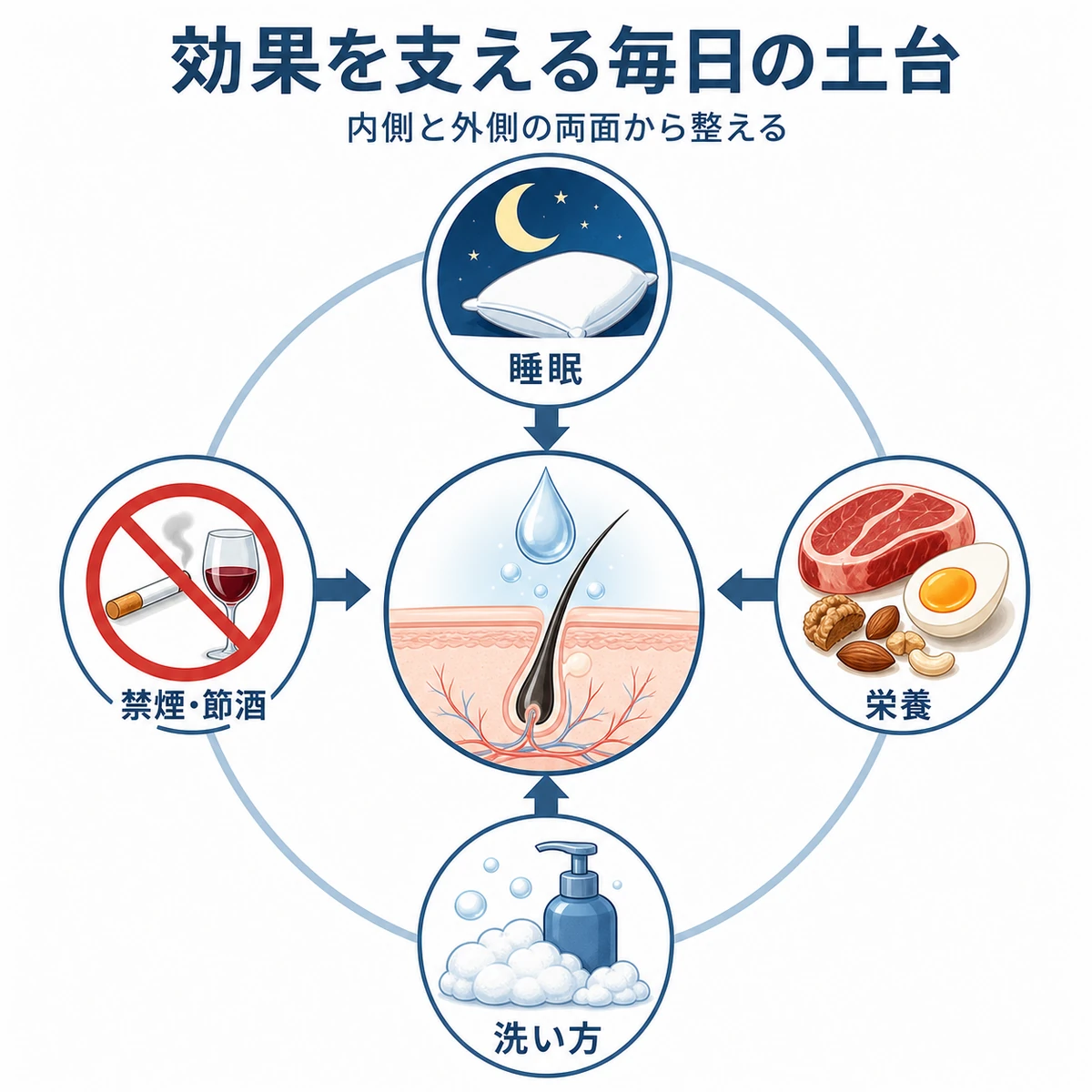 睡眠と栄養と洗い方と禁煙節酒が育毛剤の効果を支える生活習慣の相関を表した医療イラスト