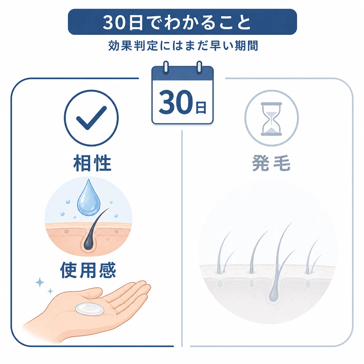 30日間の返金保証で確認できる相性や使用感とまだ難しい発毛を対比した医療イラスト