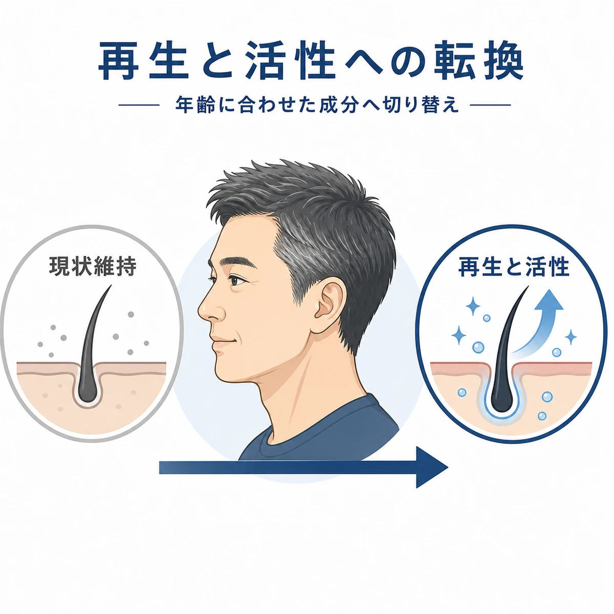40代50代の育毛剤選びで現状維持から再生と活性へ視点を切り替える様子を表した医療イラスト