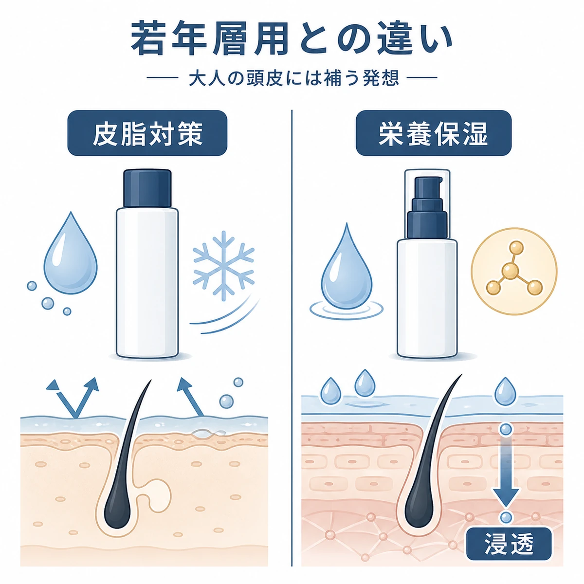 若年層向けと中高年向けの育毛剤の設計思想の違いを左右で対比した医療イラスト