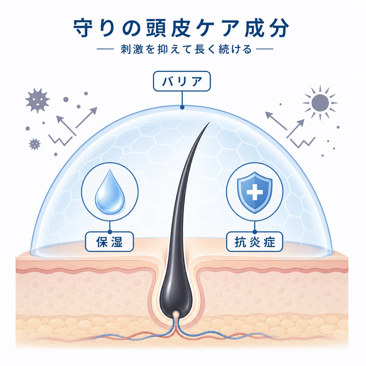 頭皮を守る保湿と抗炎症のバリア成分が毛根を包み守る役割を表した医療イラスト