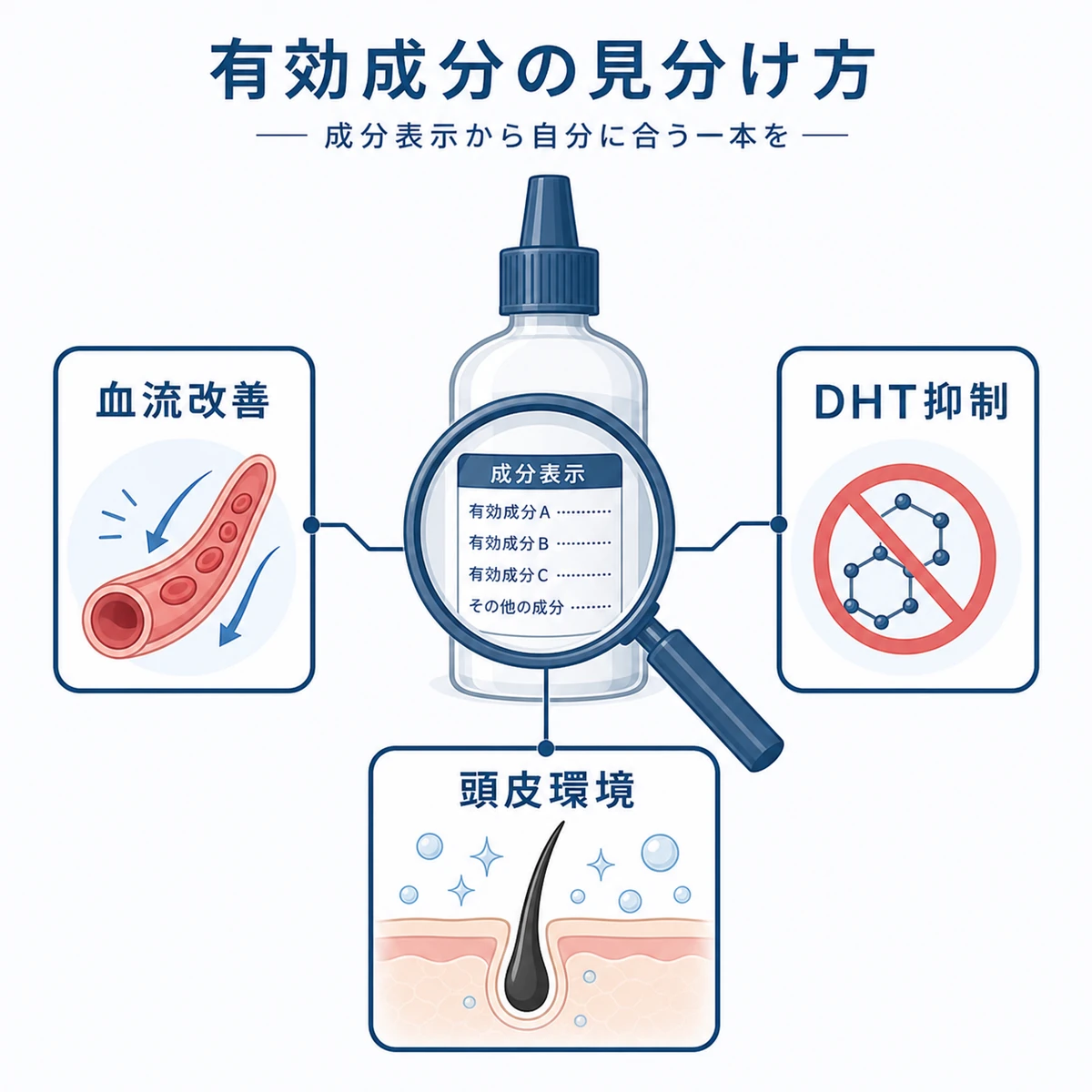 育毛剤の有効成分を働き別に見分けるポイントを分類して表した医療イラスト