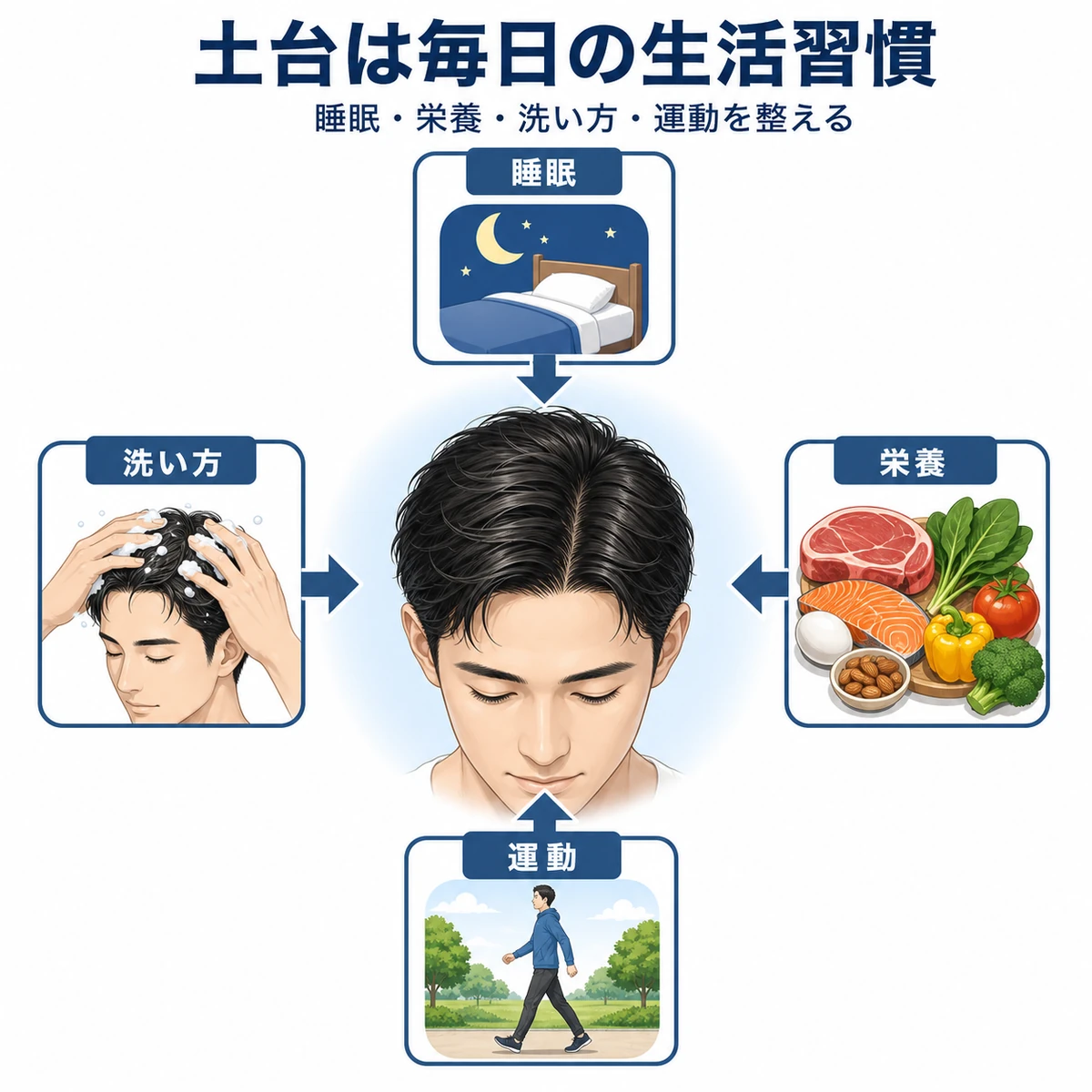 睡眠や栄養など生活習慣が頭皮環境を支える関係を表した医療イラスト