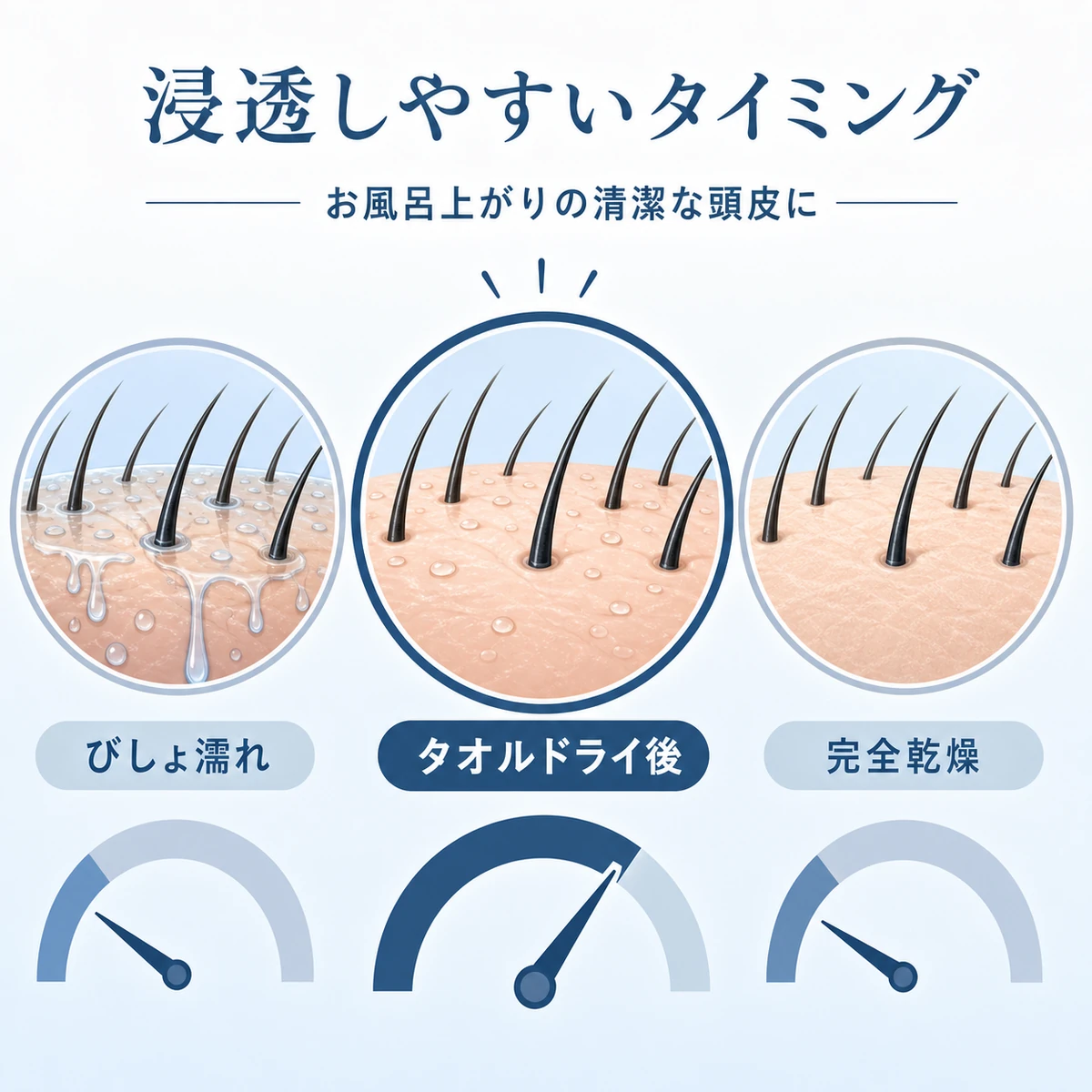頭皮の濡れ具合による育毛剤の浸透しやすさを3段階で比較した医療イラスト