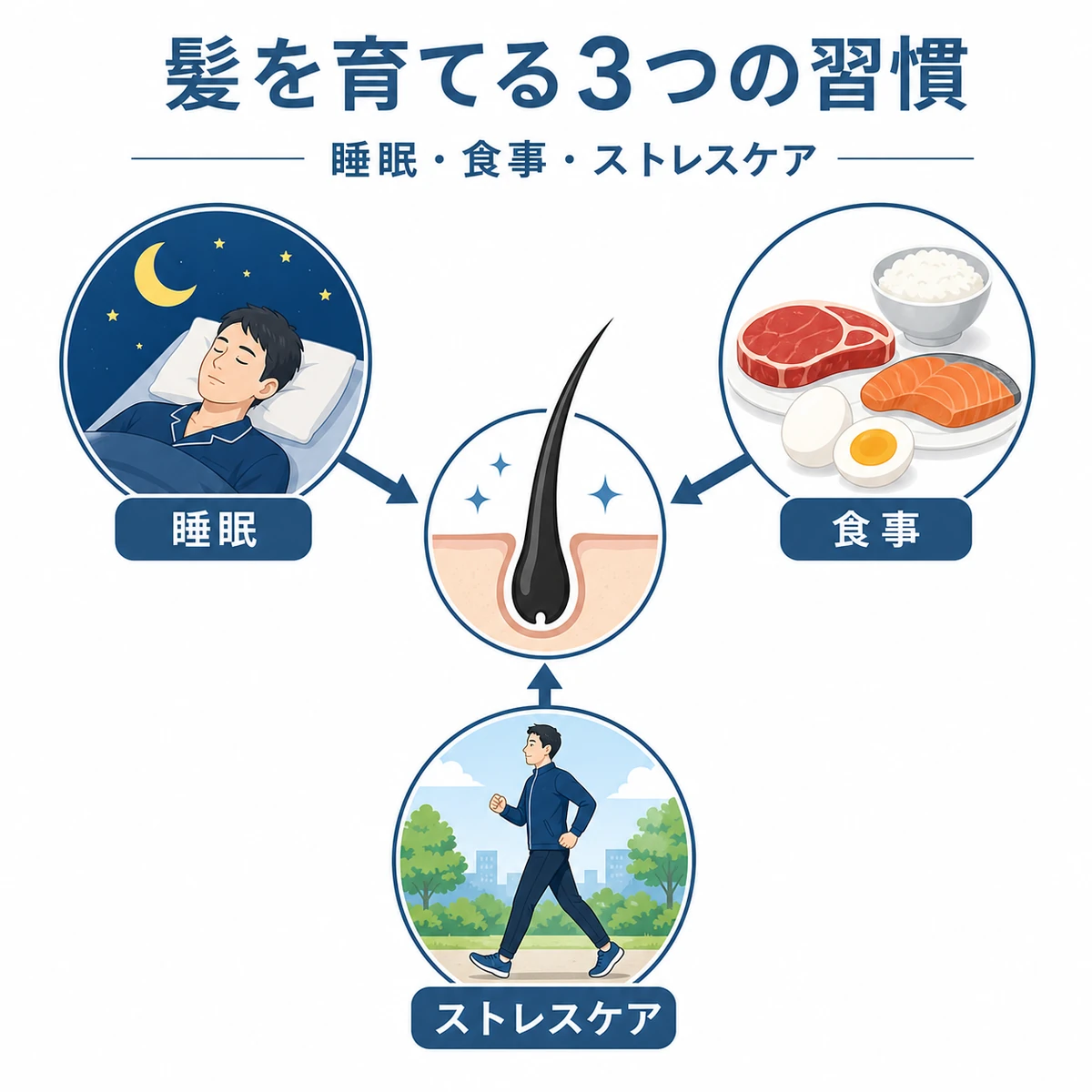睡眠・食事・ストレスケアが育毛を支える生活習慣を表した医療イラスト