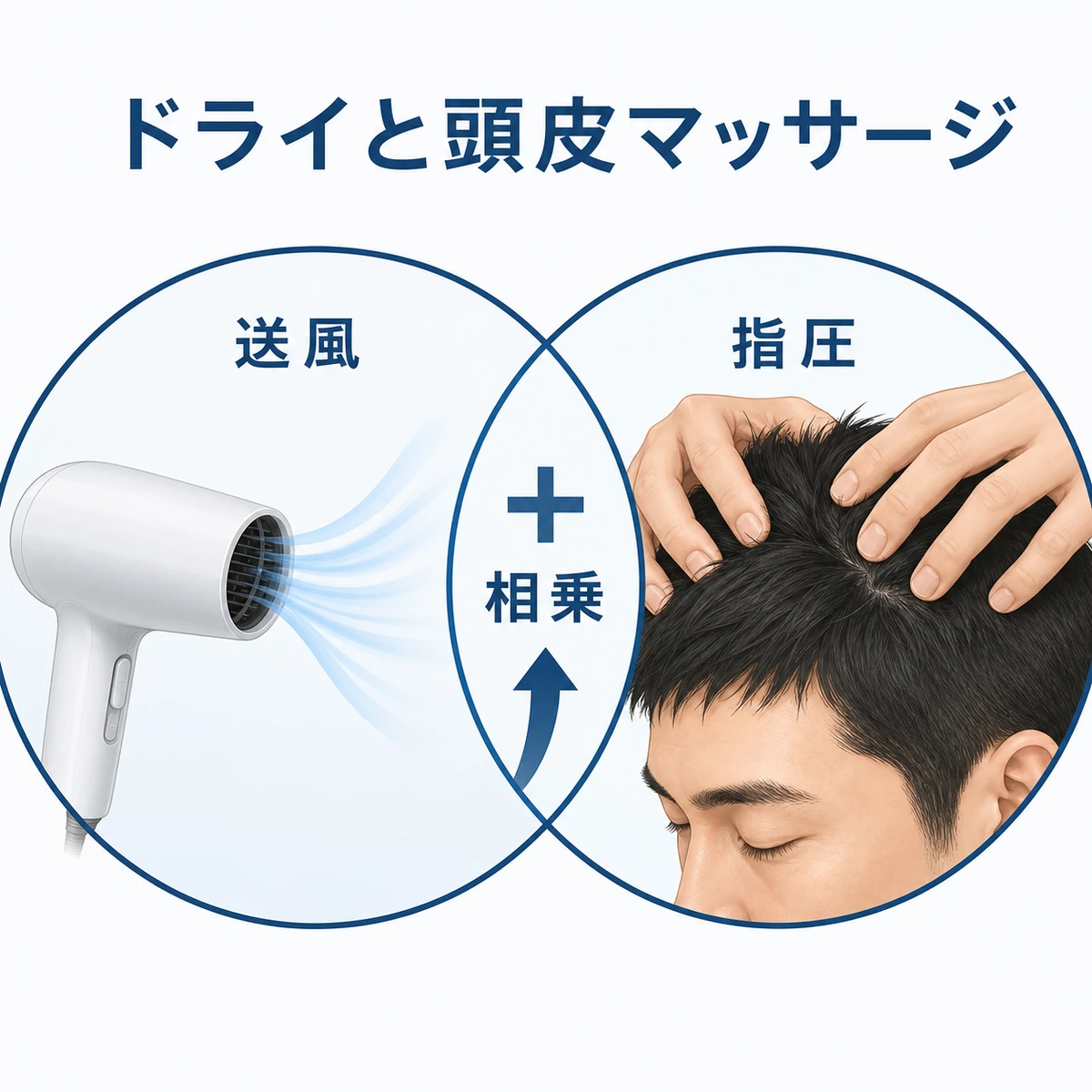 ドライヤーの送風と頭皮マッサージを組み合わせた相乗効果を重なる円の相関図で表した男性向け頭皮ケアのイラスト