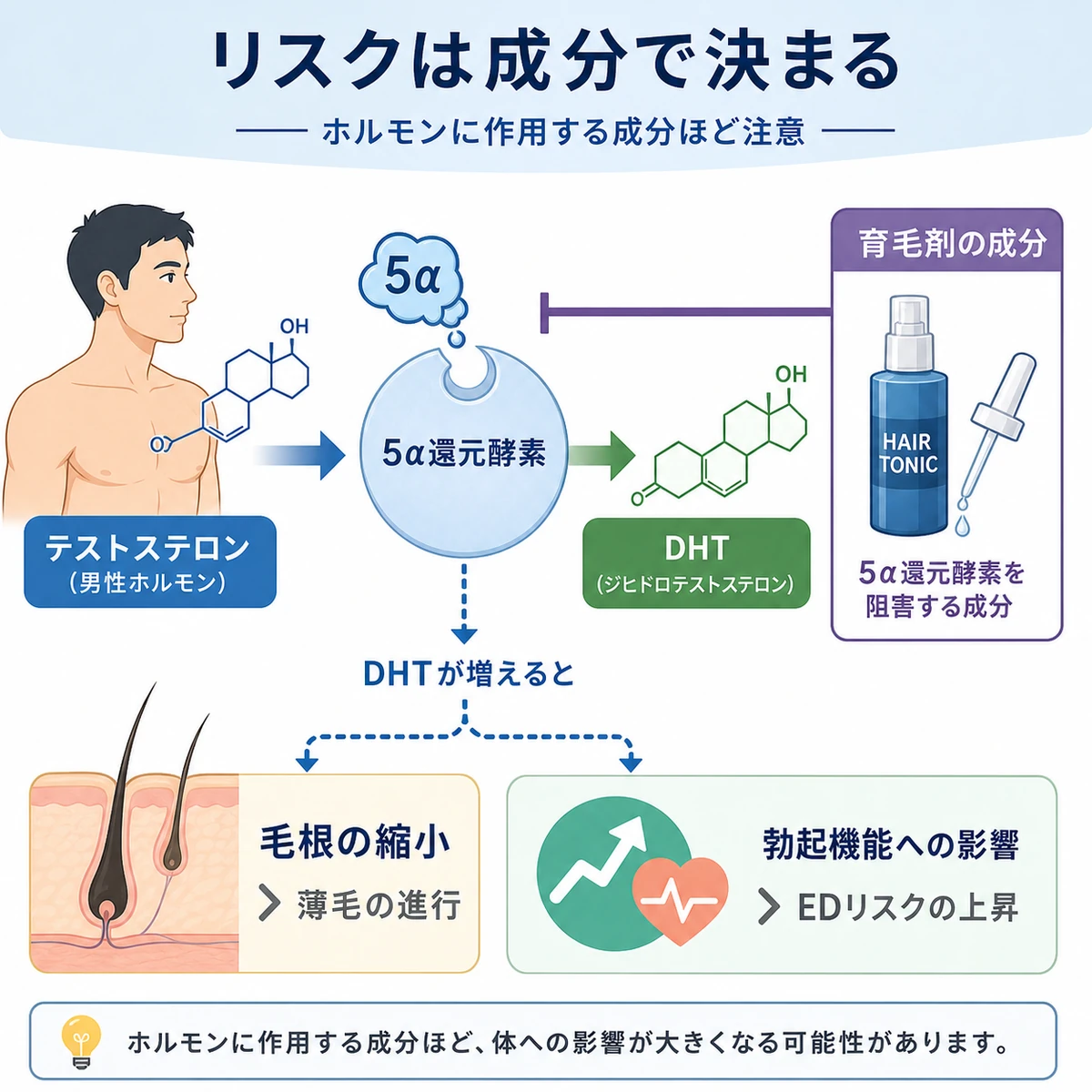 テストステロンが5α還元酵素でDHTに変換される仕組みと育毛剤成分の関係を表した医療イラスト