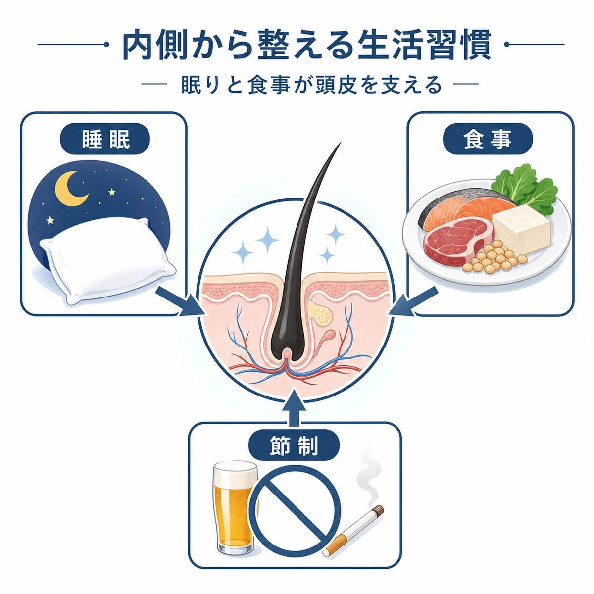 睡眠と食事と節制が頭皮環境を支える関係を表した育毛イラスト