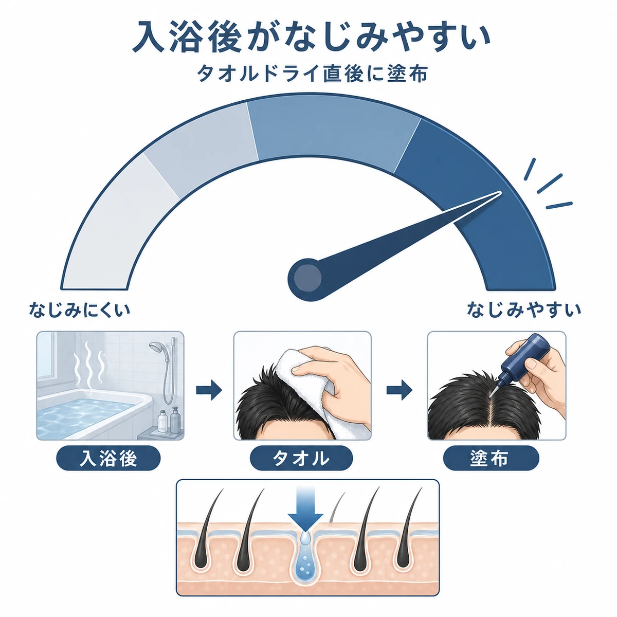 入浴後のタオルドライ直後が育毛剤のなじみやすいタイミングであることを表した育毛イラスト