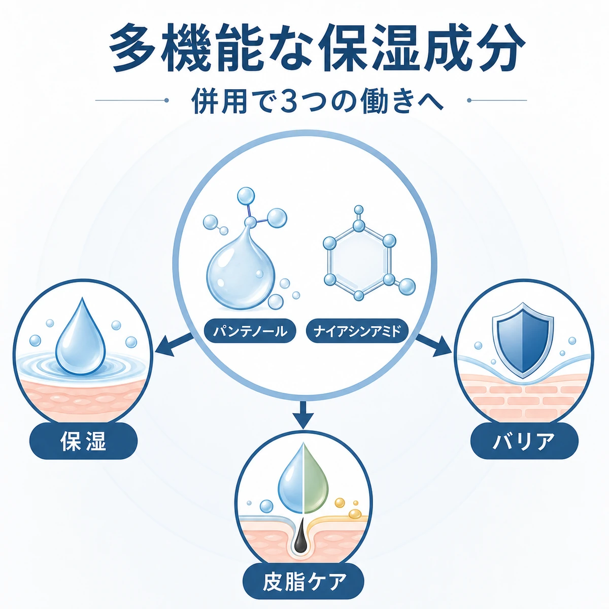 パンテノールとナイアシンアミドが保湿とバリアと皮脂ケアに働く関係を表した医療イラスト