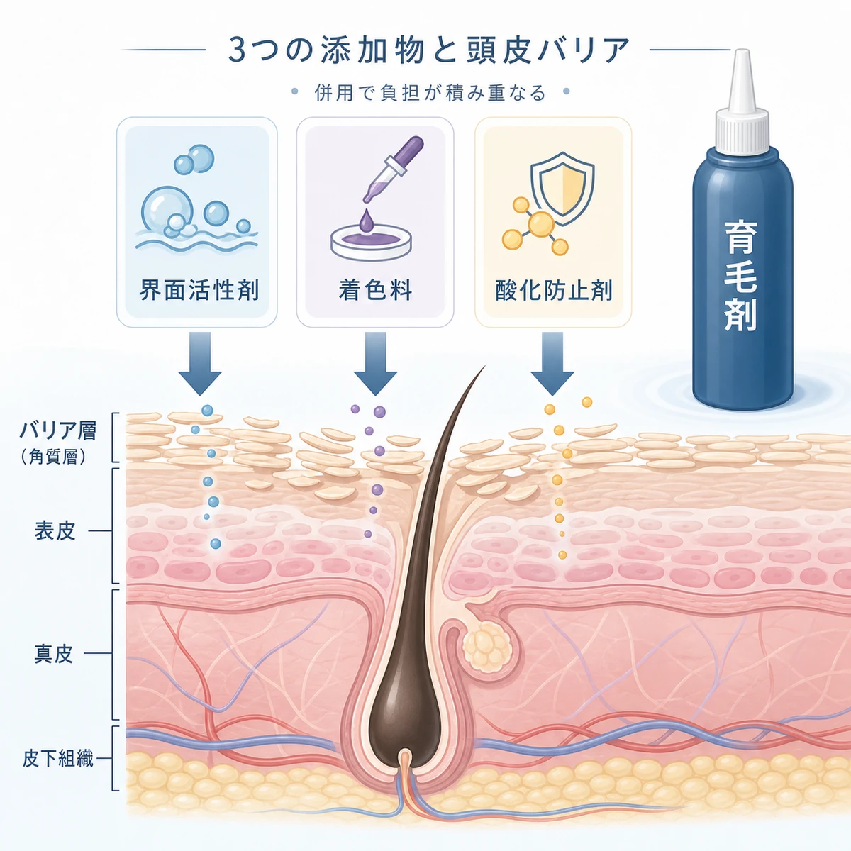 界面活性剤や着色料などの添加物が頭皮バリアに上から作用する様子を表した医療イラスト