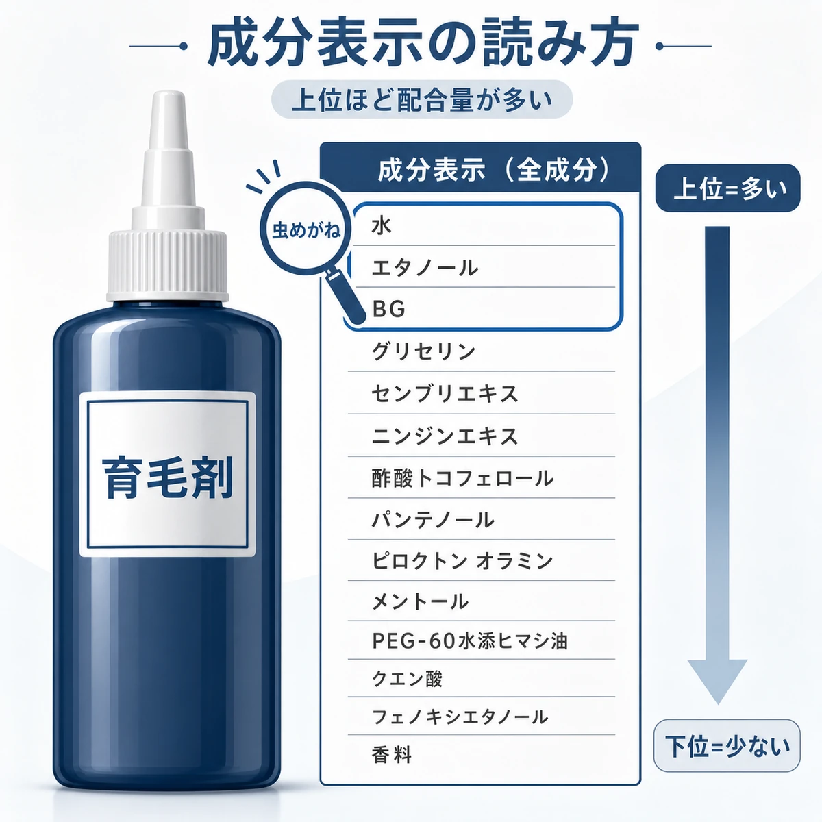 育毛剤の全成分表示で上位ほど配合量が多いという読み方のポイントを表した医療イラスト