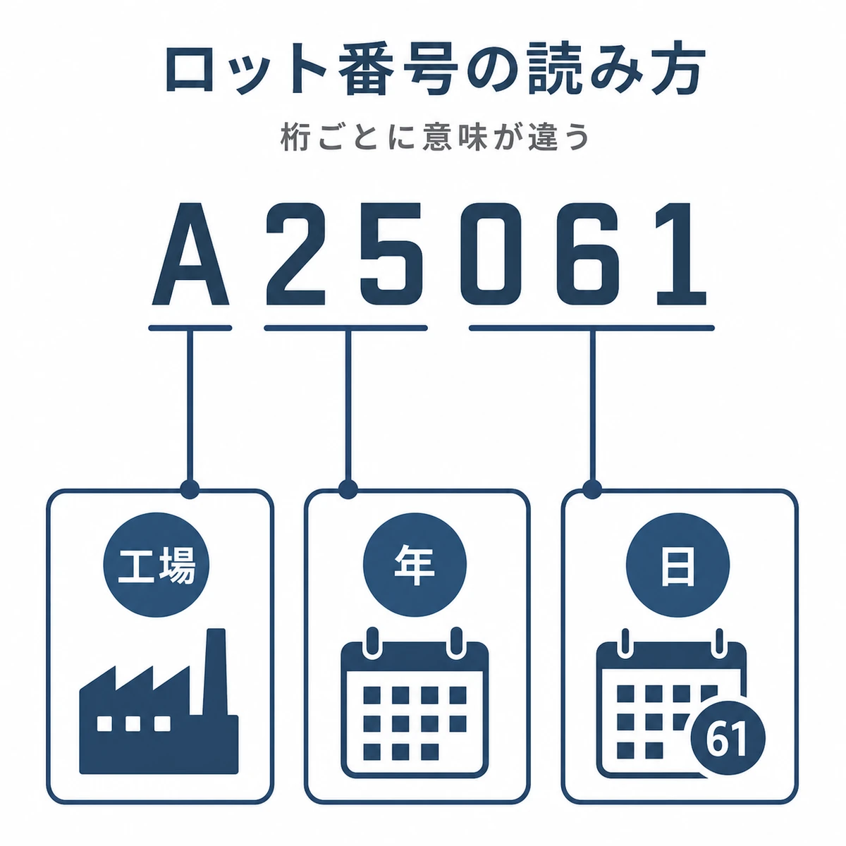 ロット番号の各桁が工場や製造年月日を表す仕組みを示した医療イラスト
