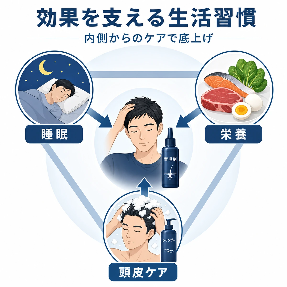 睡眠と栄養と頭皮ケアが中心の育毛効果を内側から支える様子を表した薄毛ケアの医療イラスト