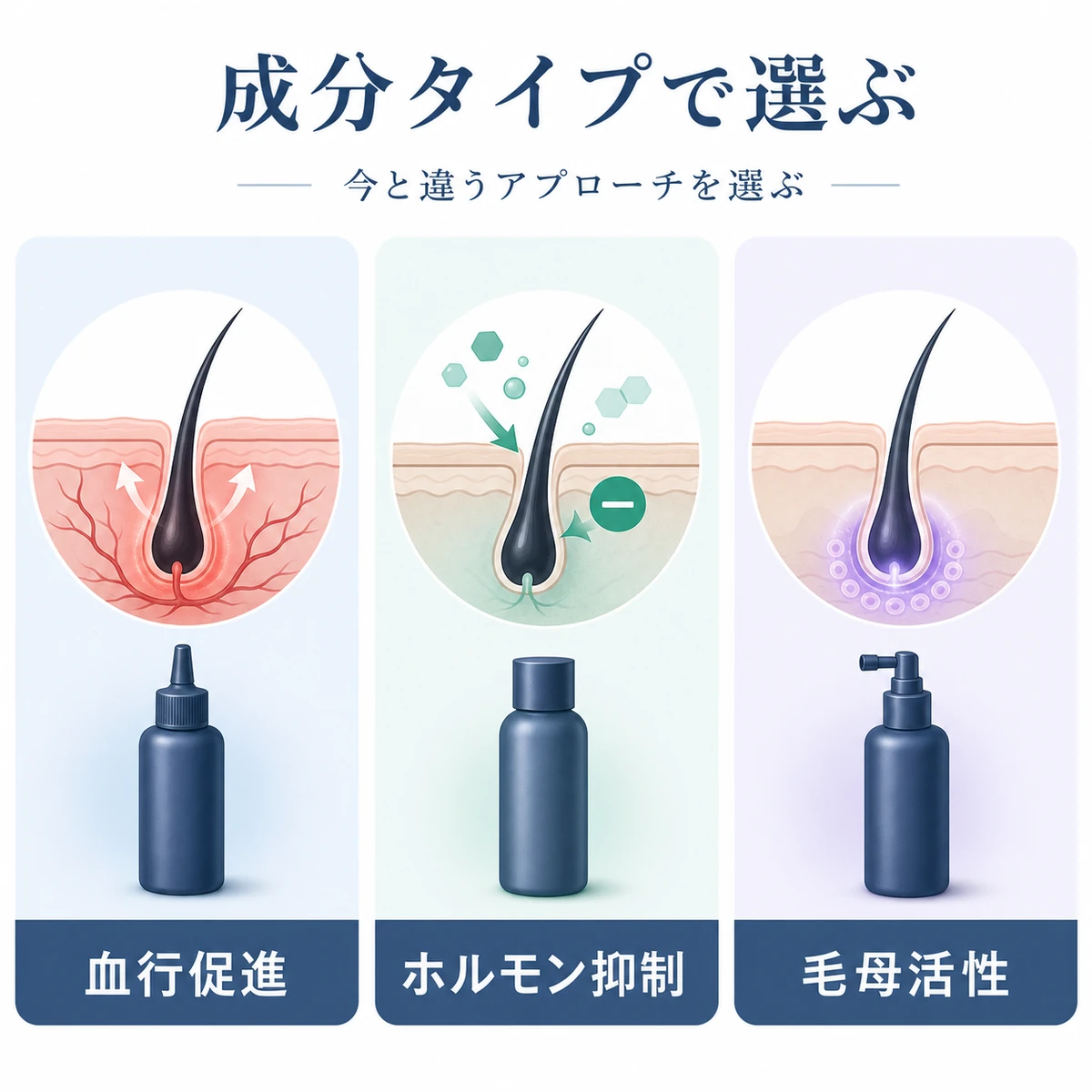 育毛剤の有効成分を血行促進・ホルモン抑制・毛母細胞活性化の3タイプに分類して対比した医療イラスト