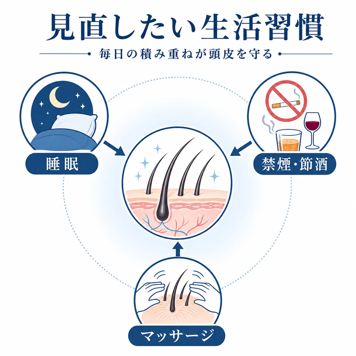 薄毛対策で見直したい睡眠や禁煙などの生活習慣を頭皮を中心とした相関図で表した医療イラスト