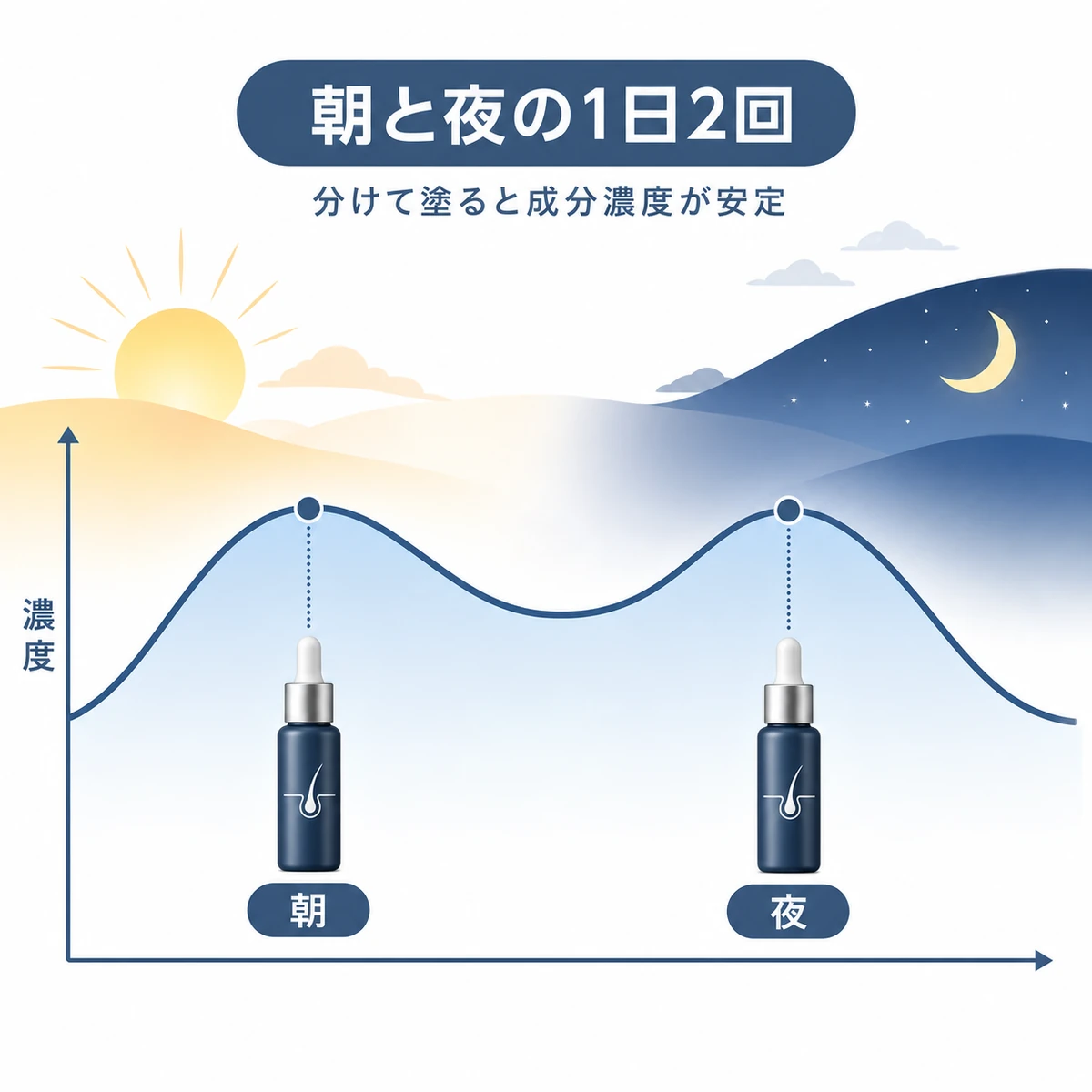 朝と夜の2回塗布で有効成分の濃度が1日を通して安定することを表した育毛剤の医療イラスト