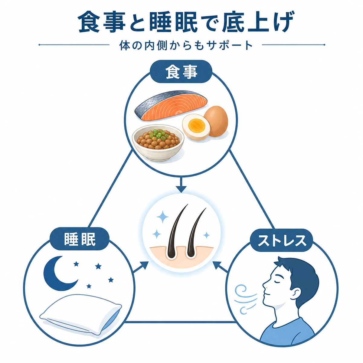 食事と睡眠とストレス対策が育毛を支える関係を表した医療イラスト