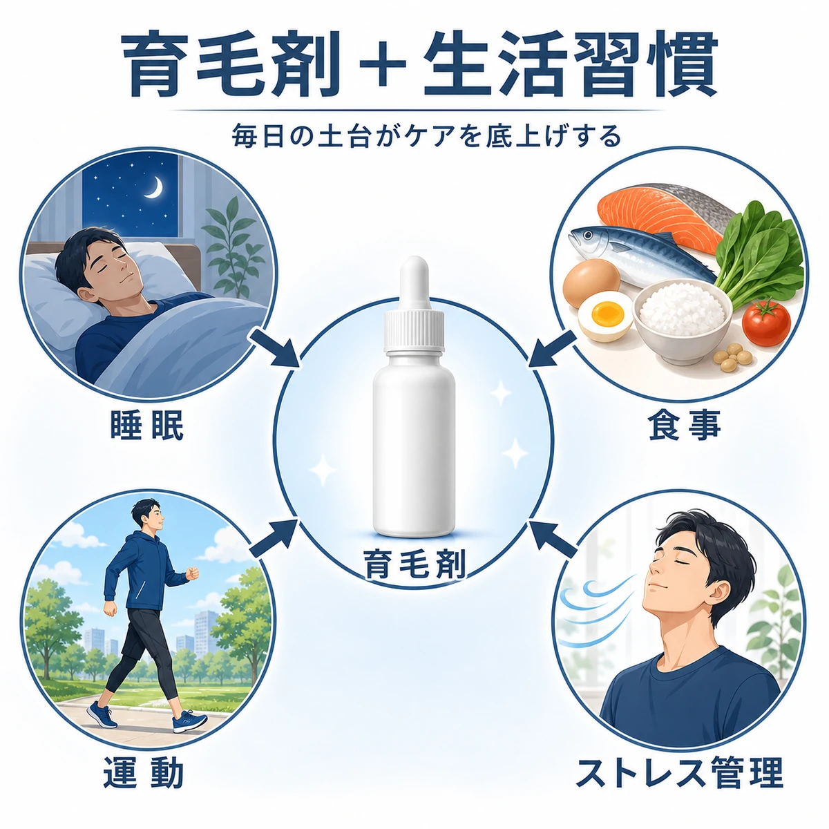 育毛剤と睡眠・食事・運動・ストレス管理を組み合わせて薄毛ケアを底上げする関係を示した医療イラスト