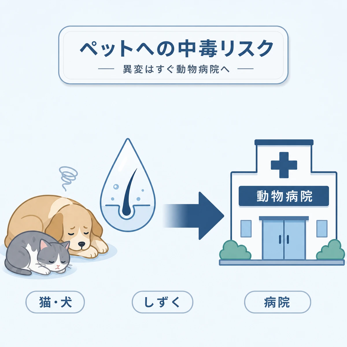 育毛剤成分でペットが中毒を起こしたら動物病院を受診する流れを表した医療イラスト