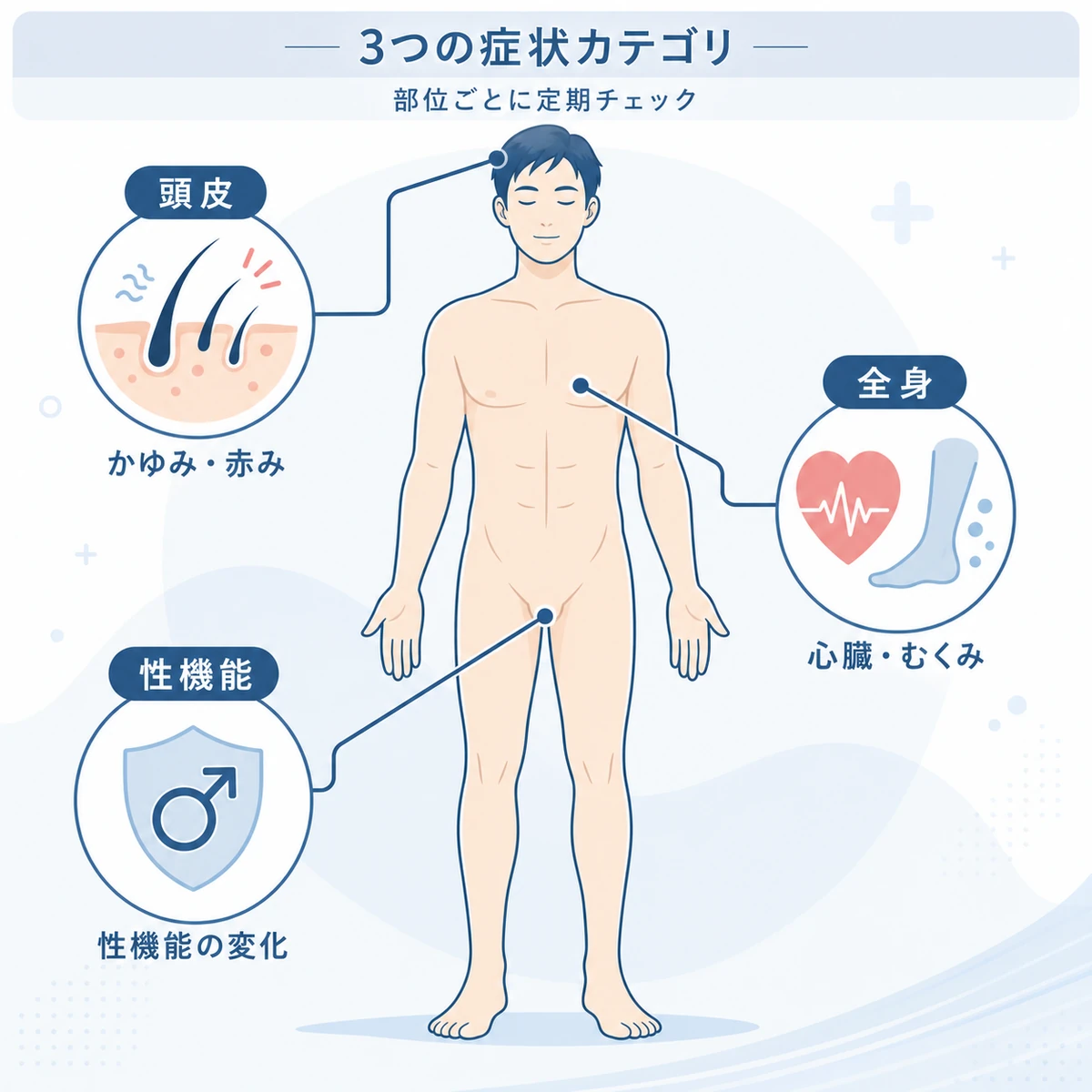 育毛剤の副作用を頭皮・全身・性機能の3カテゴリで確認するセルフチェックの医療イラスト
