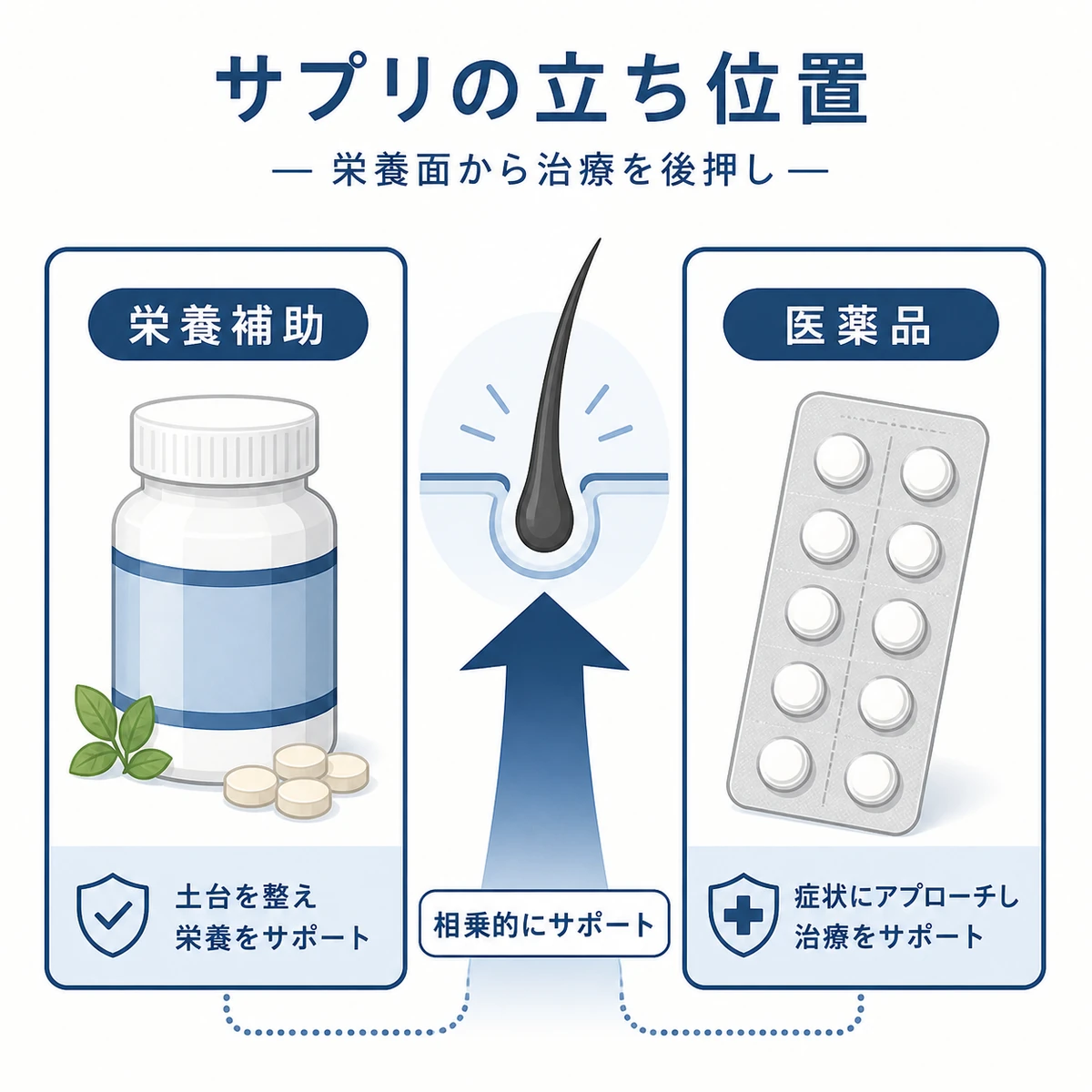 育毛サプリと医薬品の役割の違いを左右で対比した医療イラスト