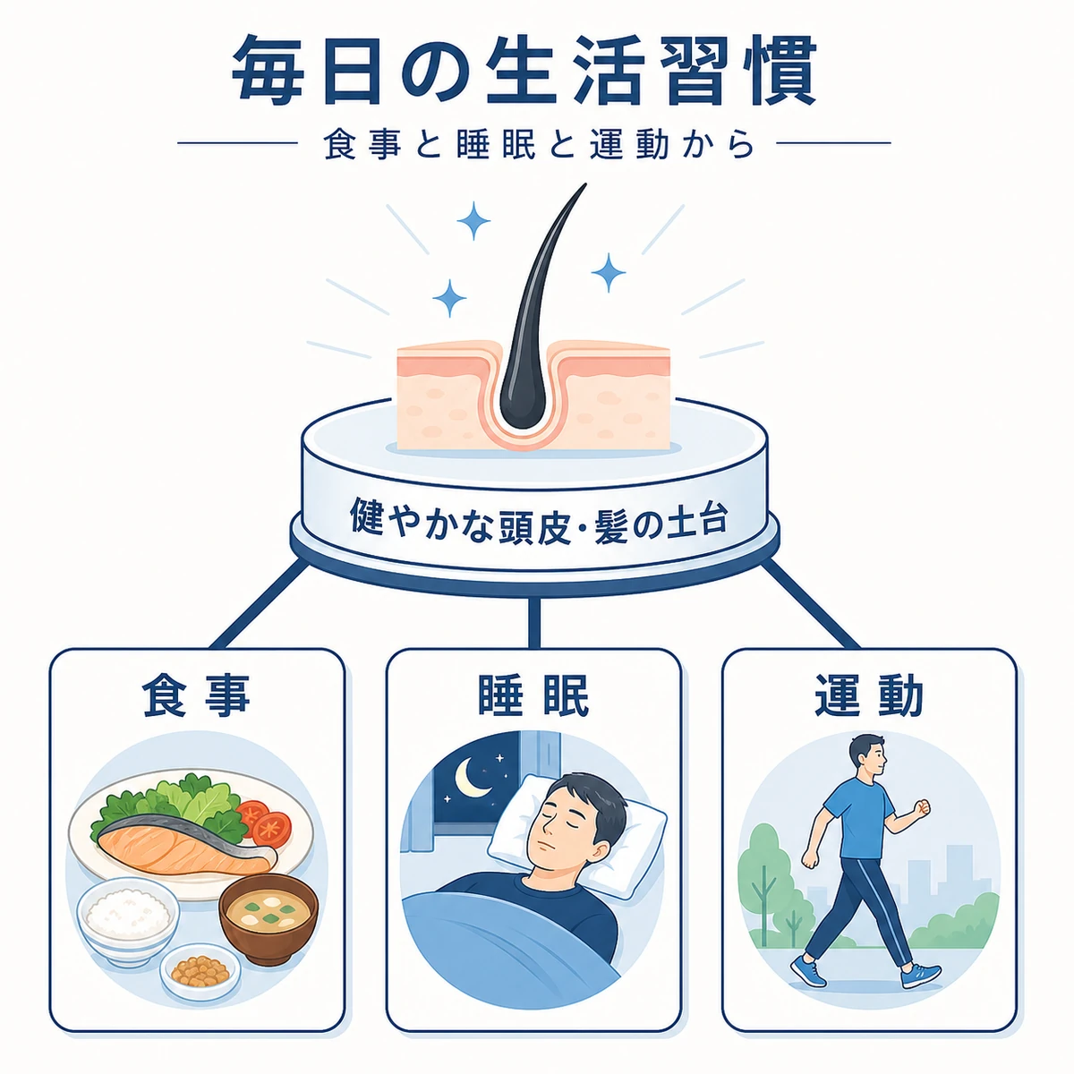食事と睡眠と運動が髪の健康を支える土台となる生活習慣を表した医療イラスト