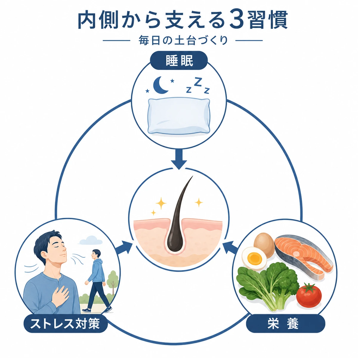 睡眠・栄養・ストレス対策の3つの生活習慣が頭皮を内側から支える様子を円環で表した医療イラスト