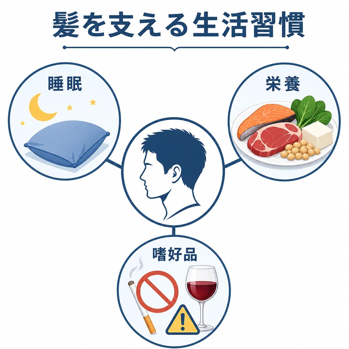 睡眠や栄養など髪を支える生活習慣のつながりを表した医療イラスト