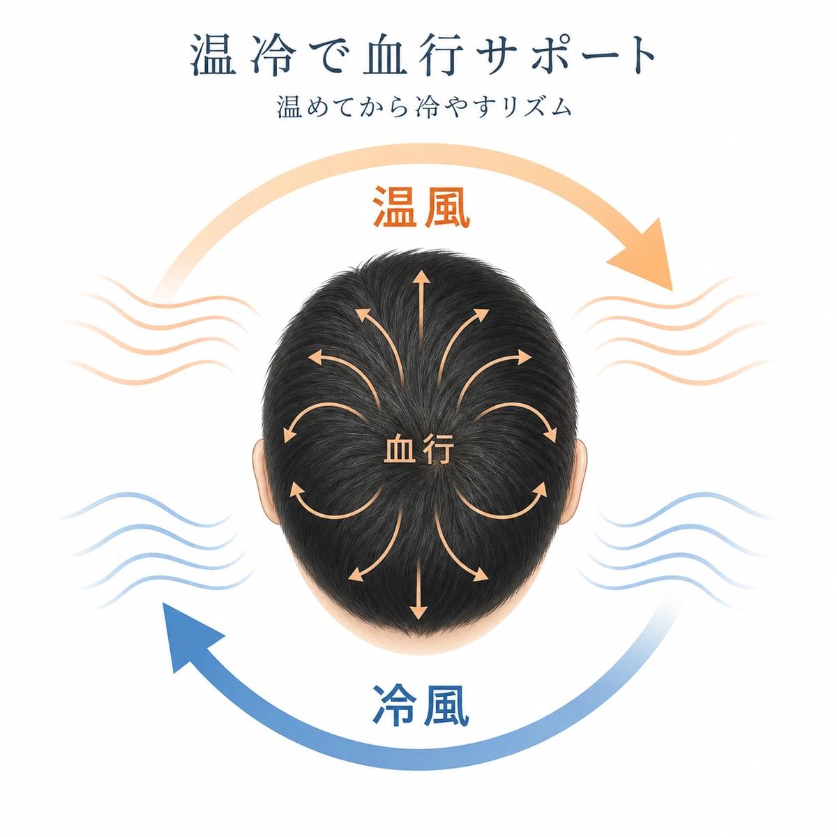 温風と冷風を交互に使い頭皮の血行を促すサイクルを表した男性向けヘアケアイラスト