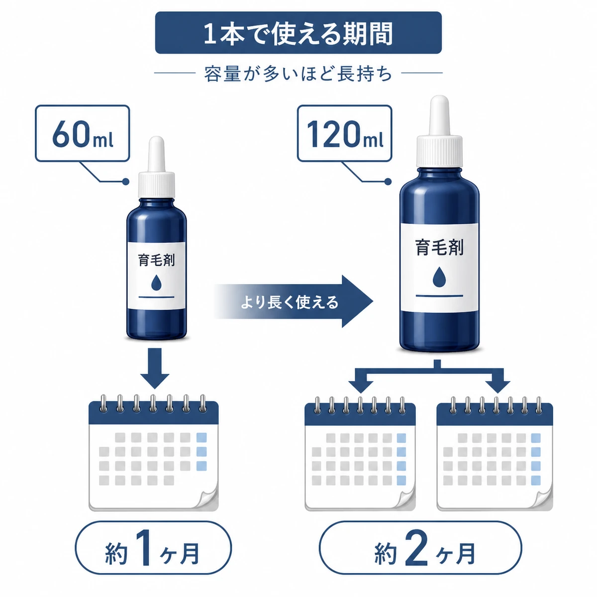 育毛剤の容量と使用期間の目安を比べた医療イラスト