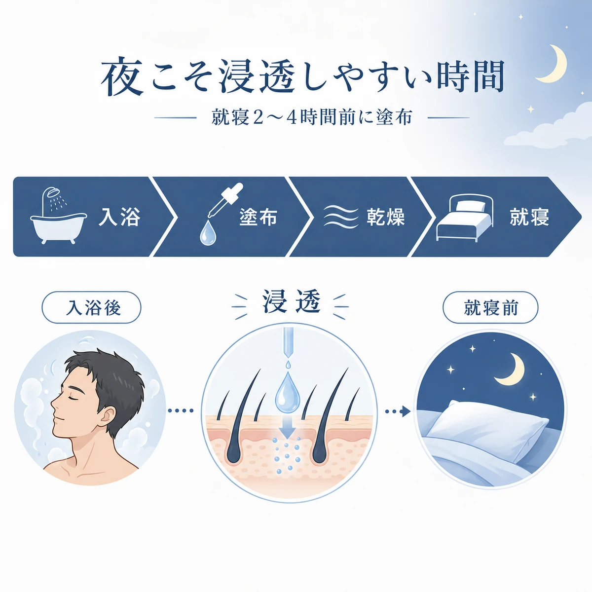 入浴後の清潔な頭皮に就寝前2〜4時間前に塗布する夜のケアの流れを帯で表した育毛イラスト