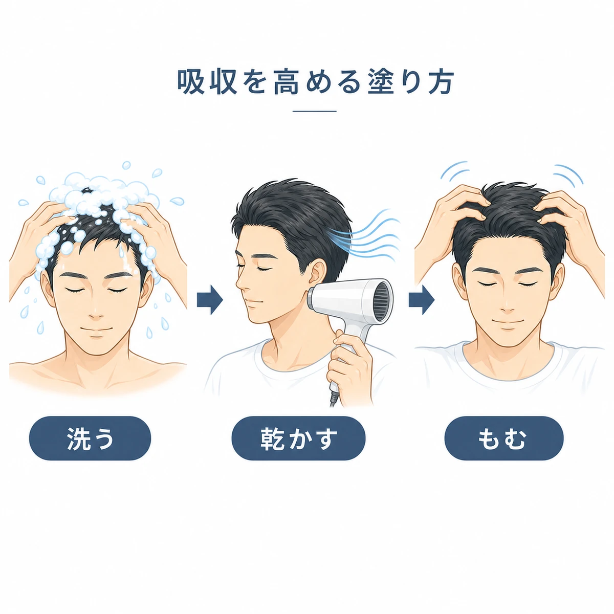 シャンプーから乾燥・軽いマッサージまで吸収を高める塗り方の流れを表した育毛イラスト