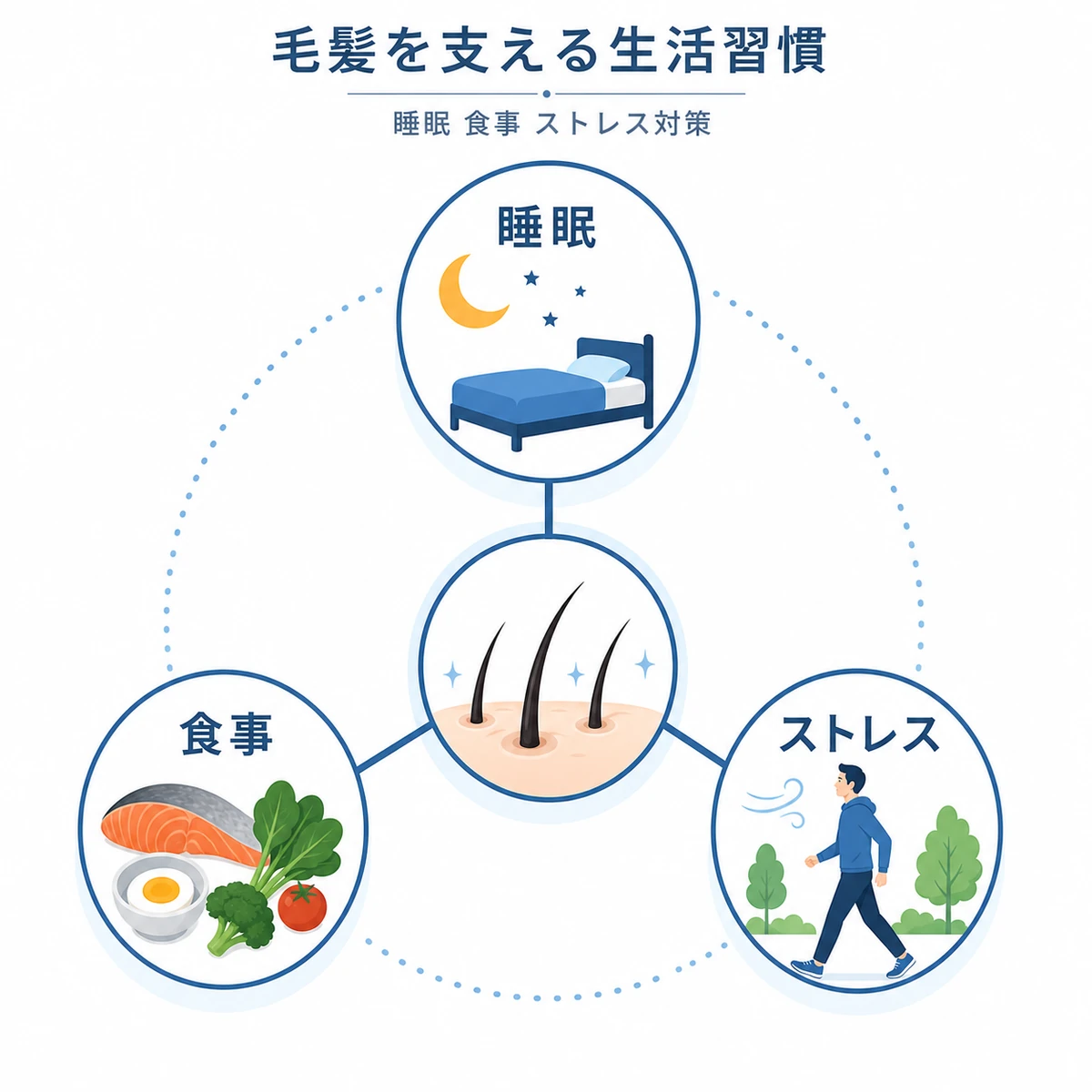 睡眠・食事・ストレス対策が毛髪を支える関係を放射状の相関図で表した育毛イラスト