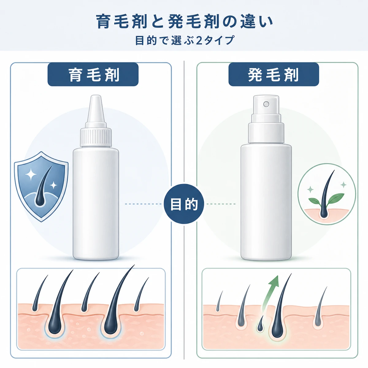 育毛剤と発毛剤の目的の違いを2本の中立的なボトルで対比した医療イラスト