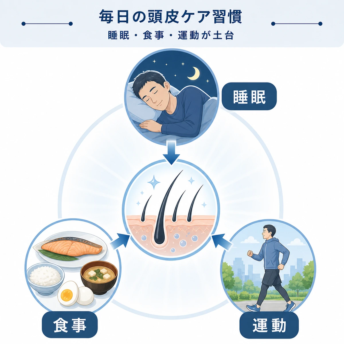 睡眠と食事と運動が頭皮環境を支える生活習慣の三本柱を表した医療イラスト