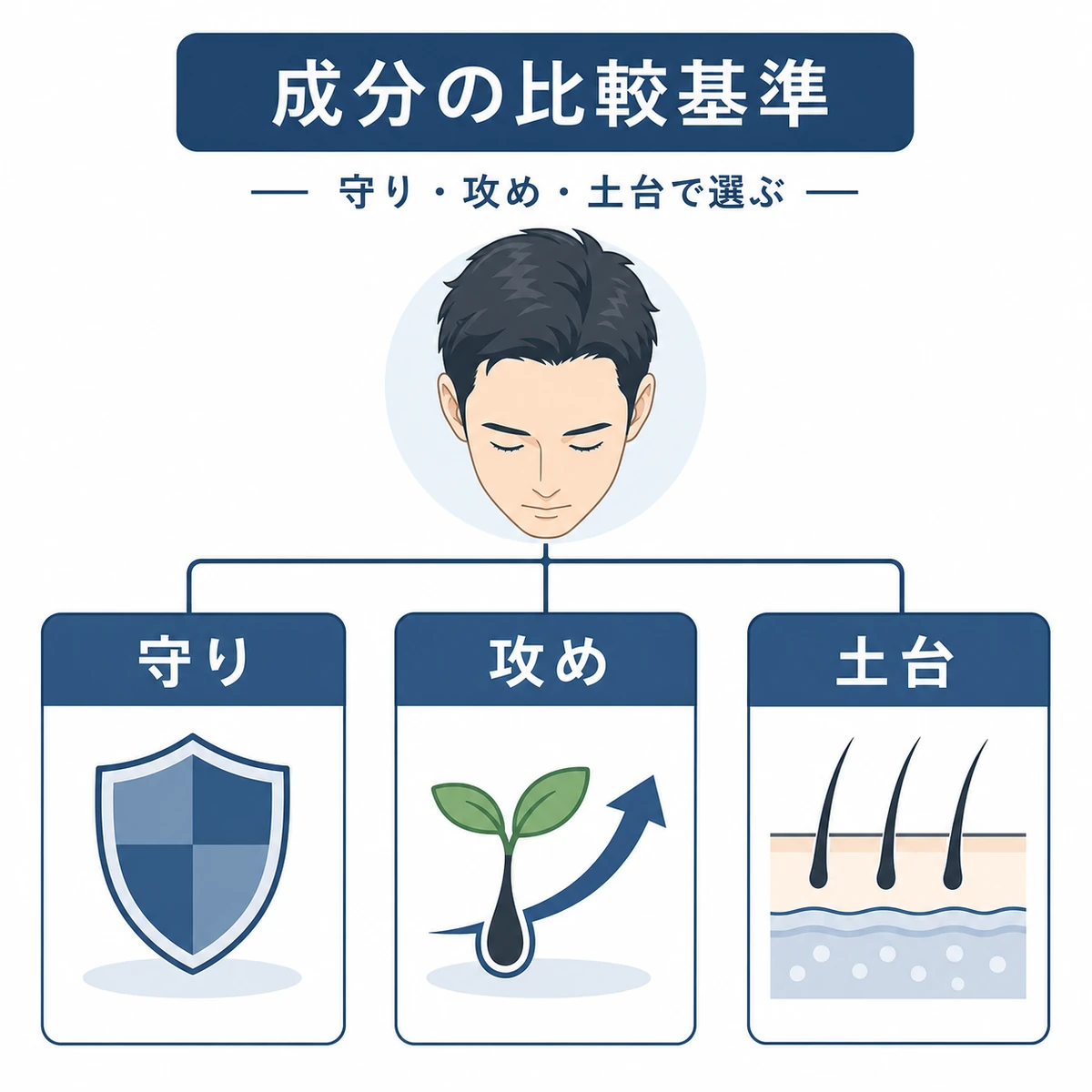 男性の頭皮に適した成分を守り攻め土台の三つに分類した医療イラスト